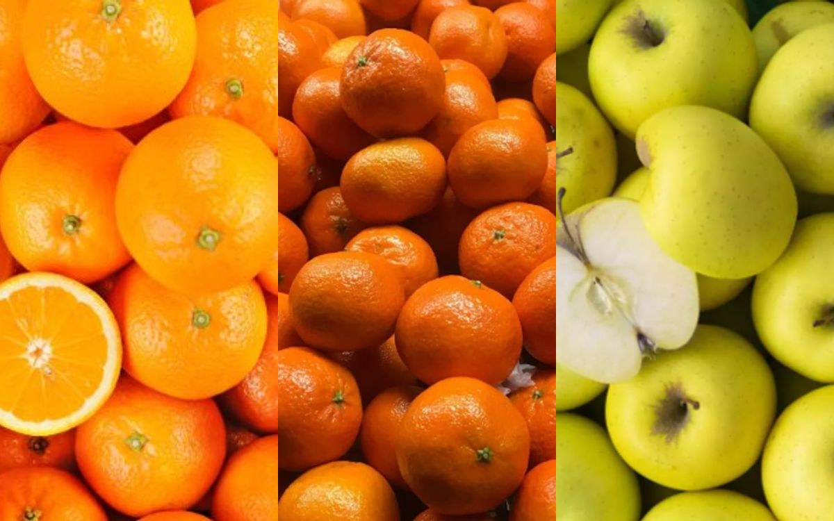 Maison des Agrumes & Fruits