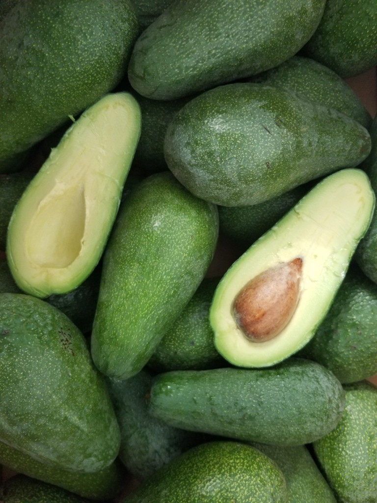 Avocats Fuerte