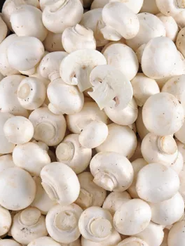 Champignon blanc