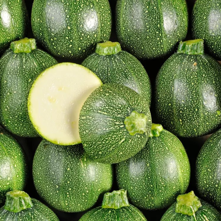 Courgettes rondes