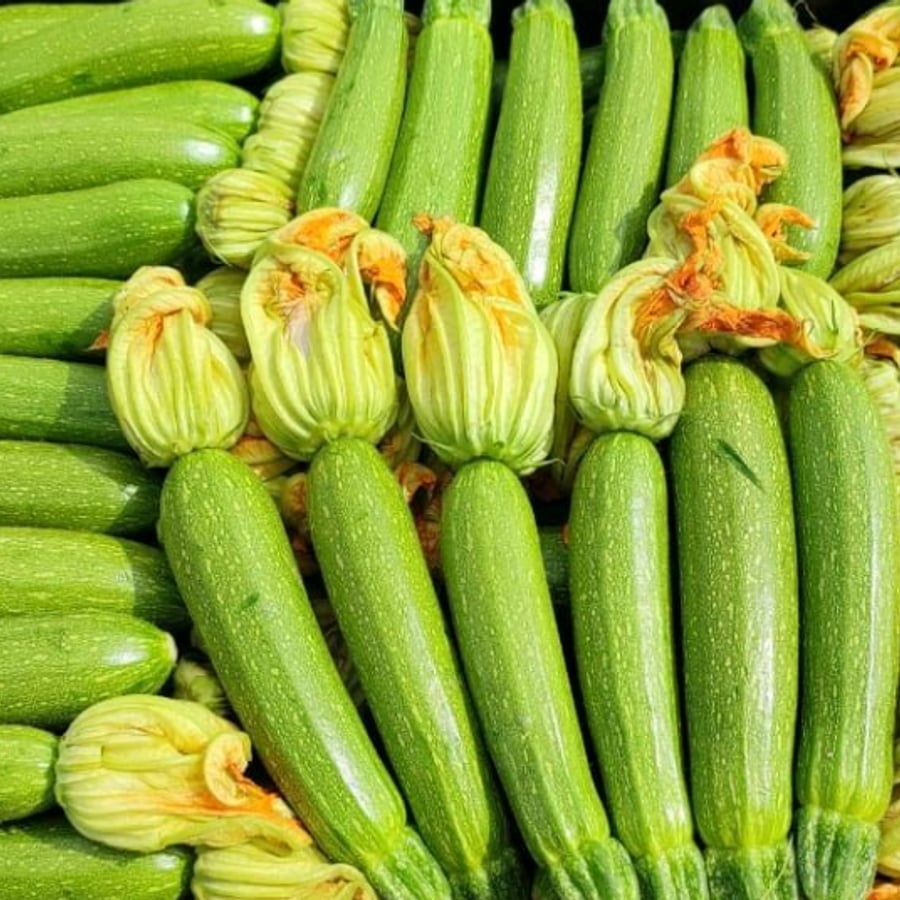 كوسا