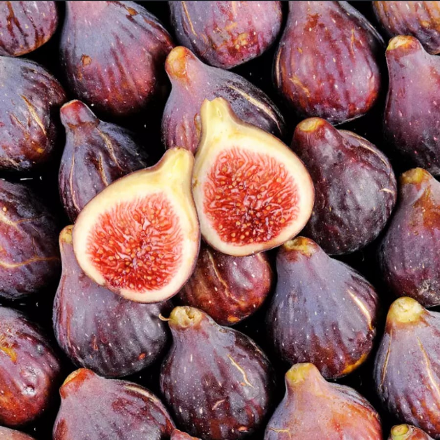 تين أسود