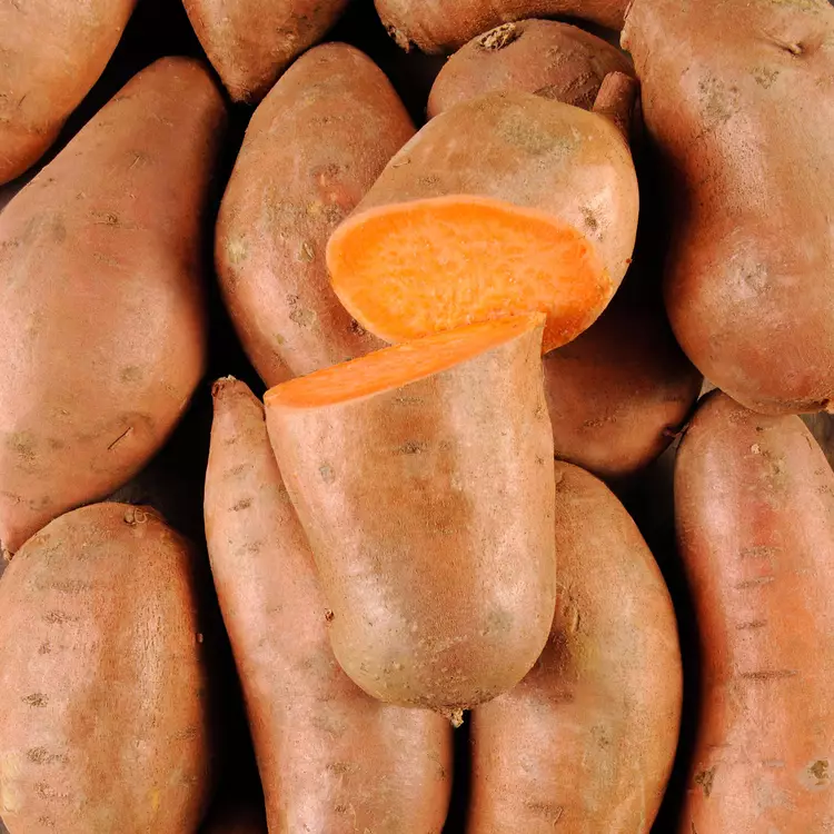Patate douce orange