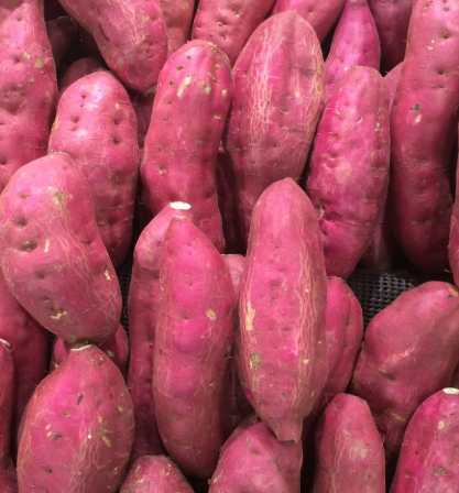 Patate douce blanche