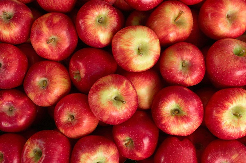 Pomme Rouge