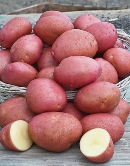 Pomme de terre frite